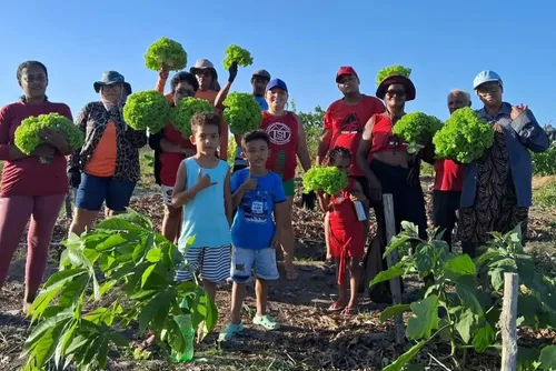 
				Cozinhas Solidárias do MTST transformam combate à fome em política pública e fortalecimento comunitário
			
			