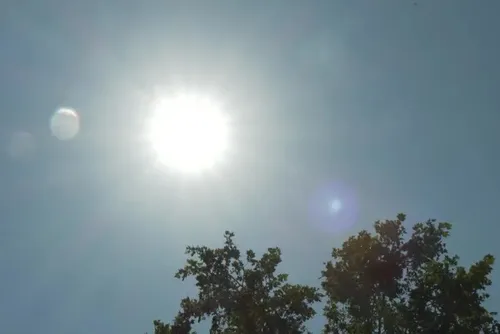 
				Onda de calor: Duas crianças morrem dentro de um carro na França
			
			