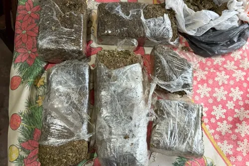 
				PF prende avó que usava neto de 13 anos no tráfico de drogas
			
			