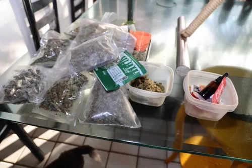 
				Veja como funcionava esquema ilegal com empresas de água mineral em Alagoas
			
			