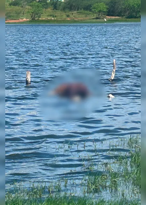 
				Corpo é encontrado boiando em açude no município de Craíbas
			
			