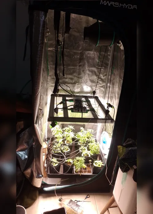 
				Estudante de Biologia é preso com laboratório de cultivo de maconha e produção de haxixe em Maceió
			
			