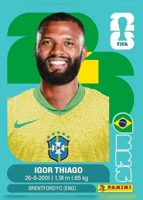 
				Fotos: com Endrick e Neymar, veja figurinhas atualizadas do álbum da Copa
			
			