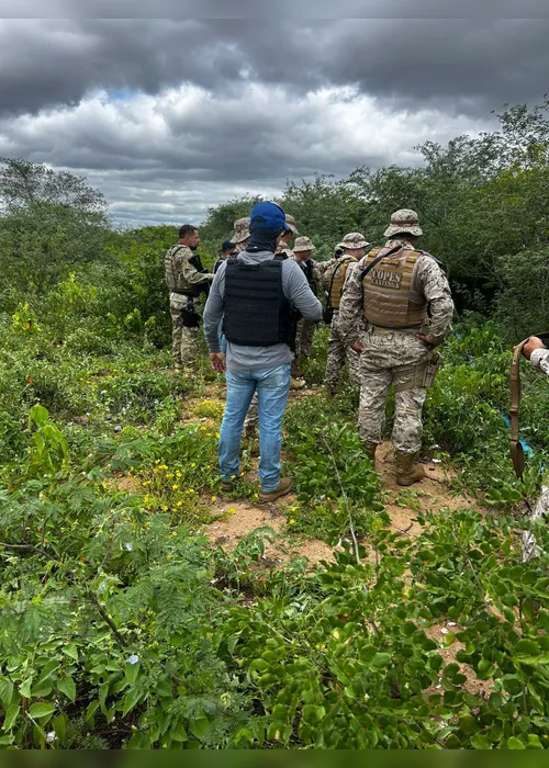 
				Prejuízo ao tráfico: vídeos mostram destruição de mais de 2,8 mil pés de maconha em AL e PE
			
			