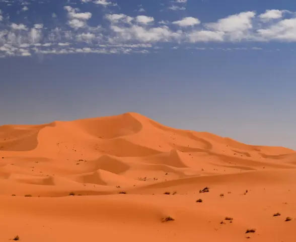 Mais de 40 pessoas morrem de sede no deserto do Saara após caminhão quebrar