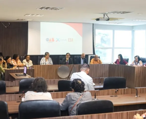 OAB Alagoas divulga relatório de homicídios contra idosos em 2025