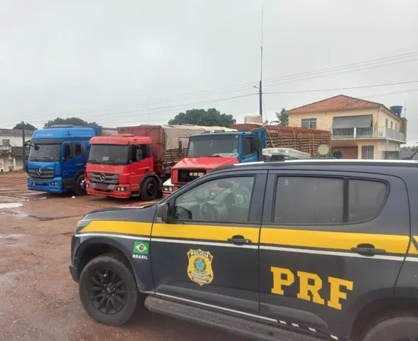PRF apreende mais de 30 mil tijolos sem nota fiscal em São Sebastião