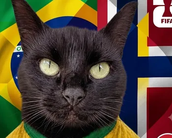Gato vidente que acertou vitórias do Brasil faz palpite contra Noruega