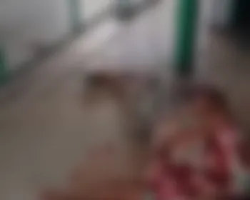 Idosa que esfaqueou mulher em terminal de ônibus de Maceió é presa em flagrante