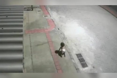 
				Bebê é encontrada sozinha engatinhando na rua durante a madrugada; vídeo
			
			