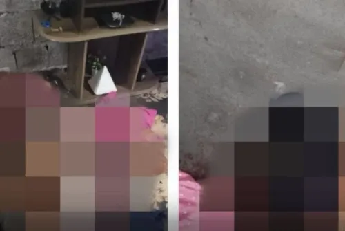 
				Três pessoas são encontradas mortas em residência no Sertão; dois eram irmãos
			
			