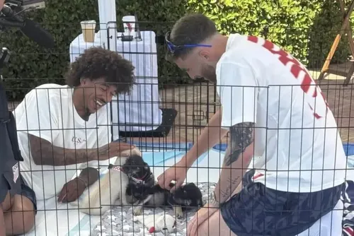 
				Copa: EUA usa cachorros na recuperação dos atletas após jogos
			
			