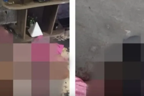 
				Veja o que se sabe sobre a chacina que deixou três mortos no Sertão de Alagoas
			
			