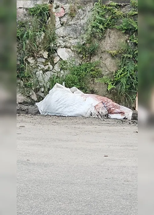 
				Mulher é encontrada morta dentro de saco plástico no Jacintinho
			
			
