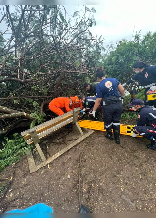 
				Veja imagens do resgate de adolescente de 13 anos ferido após queda de árvore sobre fiação
			
			