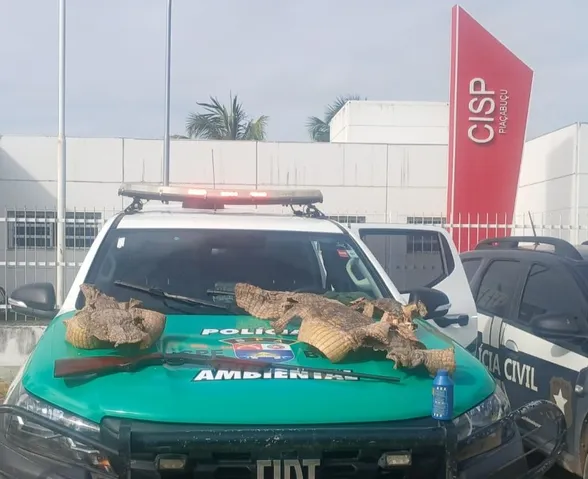 PM apreende espingarda e peles de três jacarés em operação no litoral sul de Alagoas