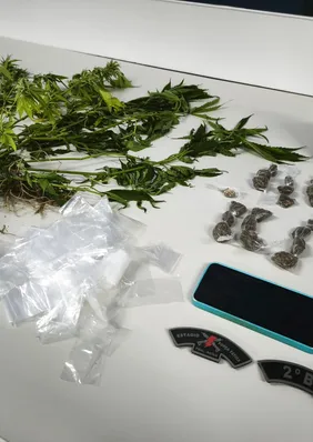 Homem é preso com pés de maconha e droga dentro de casa em Santana do Mundaú