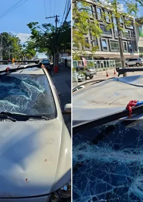 Motorista quebra próprio carro durante fiscalização; vídeo