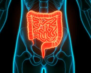 Adoçante comum afeta crescimento de importantes bactérias intestinais