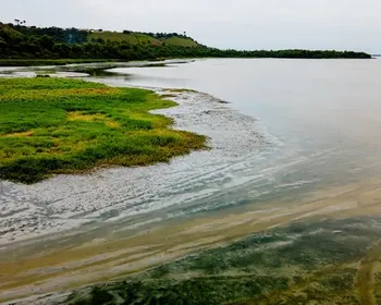 Alerta: quatro pontos de lagoas em AL estão impróprios para banho; veja locais
