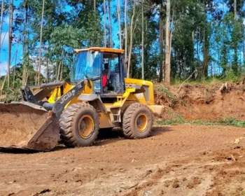 Árvore desliza e mata trabalhador de 50 anos durante extração de madeira