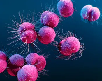 Casos de gonorreia resistente a antibiótico aumentam na Europa