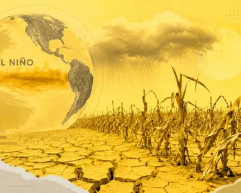 El Niño pode ser o mais forte desde 1950; entenda efeitos