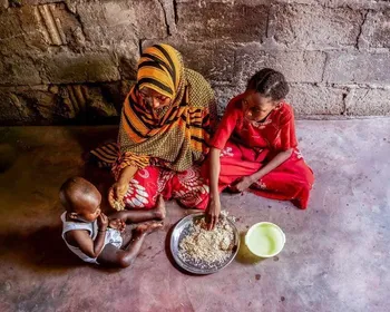 Fome global diminui pelo terceiro ano consecutivo, aponta relatório da ONU