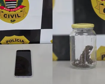 Funcionário de escola é preso após negociar maconha por abusos sexuais