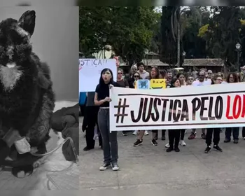 Gato queimado intencionalmente em churrasqueira morre após 28 dias e gera protestos