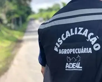 Governo de Alagoas cria comissão para organizar concurso público da Adeal