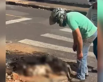 Homem é preso após incendiar cadela viva para atingir ex