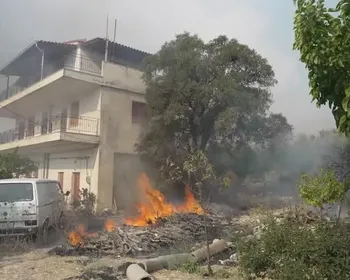 Incêndios na Grécia queimam mais de 100 casas em complexo turístico