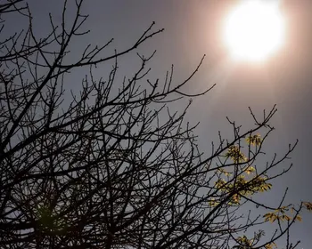 Maior do século: risco de super El Niño cresce e liga alerta no Brasil