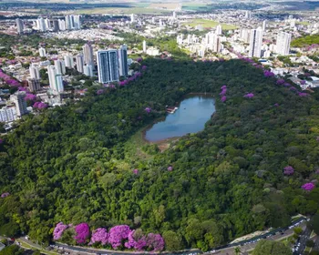 O segredo da ‘cidade mais limpa do Brasil’ que eliminou lixo das calçadas e virou referência nacional