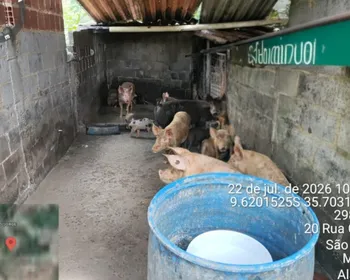 Pocilga é interditada durante fiscalização no bairro São Jorge