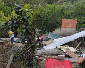 Pocilga proibida por lei é demolida durante ação no São Jorge