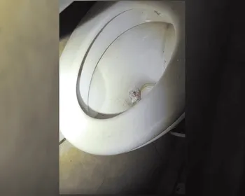 Traficante é preso dando descarga em drogas durante flagrante em bar