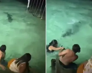 Turistas são surpreendidos por crocodilo durante banho noturno em resort; vídeo!
