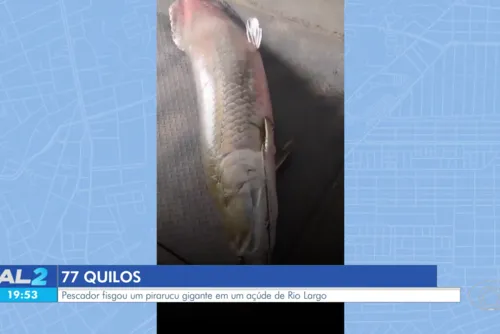 
				Pescador fisga pirarucu de 77 quilos em Rio Largo e brinca: "O frito está garantido"
			
			