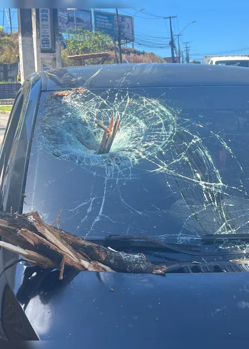 
				Árvore cai sobre veículo e bloqueia duas faixas da Leste-Oeste, em Maceió
			
			