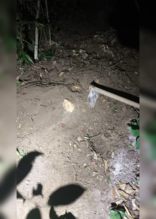 
				Dois homens são encontrados enterrados com mãos amarradas em cova rasa na Santa Amélia
			
			