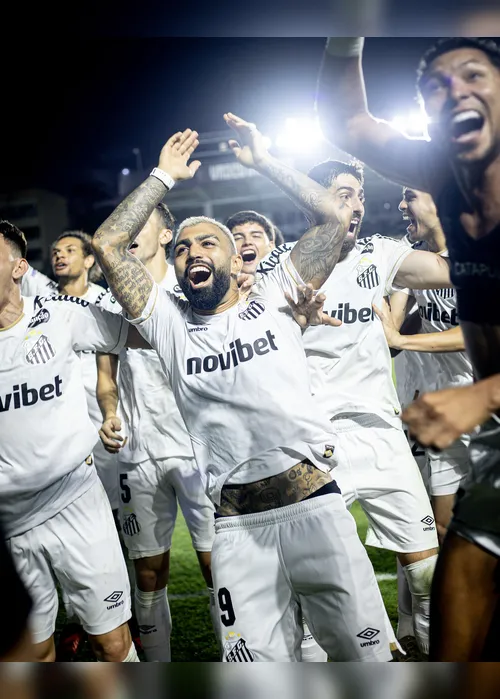 
				Gabigol exalta vitória do Santos diante do Vasco: 'Confiança para sequência'
			
			