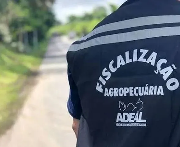 Governo de Alagoas cria comissão para organizar concurso público da Adeal
