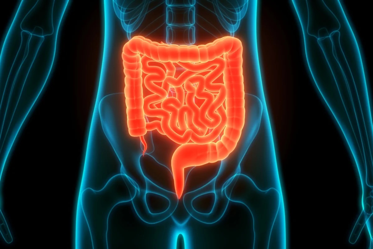 SUS passa a oferecer teste de fezes para rastrear câncer de intestino