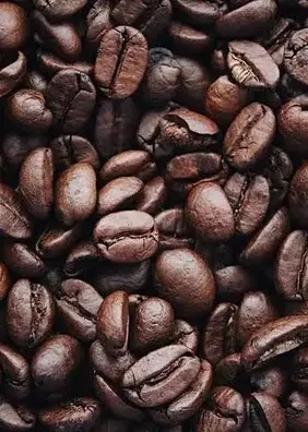 Dia Internacional do Café: você sabe quanto de cafeína está tomando?