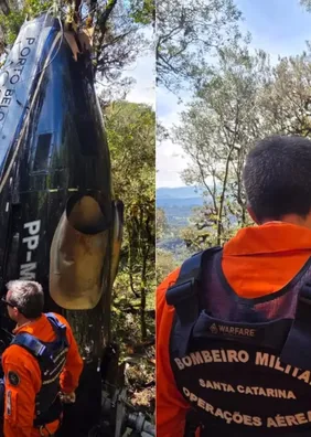 Helicóptero de Rick teria caído de bico no meio de árvores, diz perita