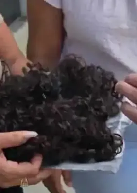 Mulher que esfaqueou e cortou cabelo de menina em União é mantida presa após audiência de custódia