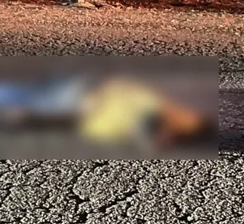 Pedestre morre após ser atingido por moto e atropelado por carro na AL-115, em Arapiraca