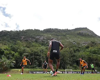 Botafogo busca reduzir danos da crise diante do líder Palmeiras